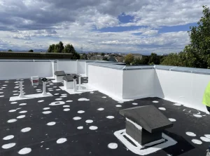 Black flat roof with spot primer applied around fasteners before coating